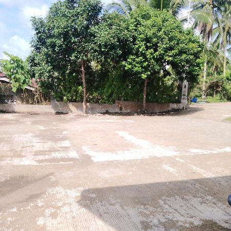 Villa Del Carmen Haven Bohol Bagian luar foto