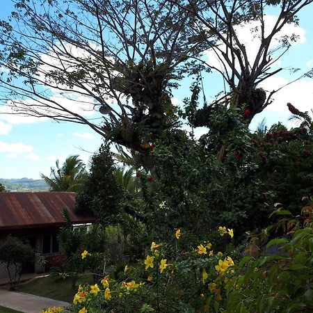 Villa Del Carmen Haven Bohol Bagian luar foto