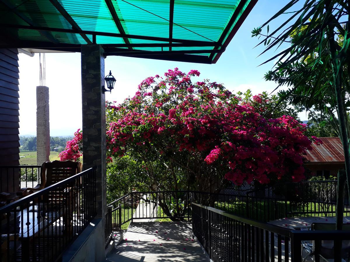 Villa Del Carmen Haven Bohol Bagian luar foto
