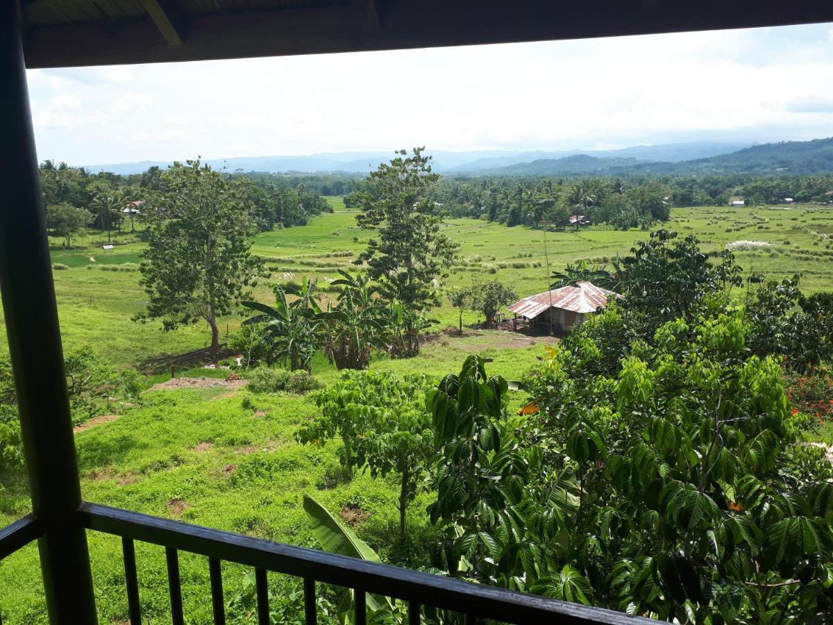 Villa Del Carmen Haven Bohol Bagian luar foto