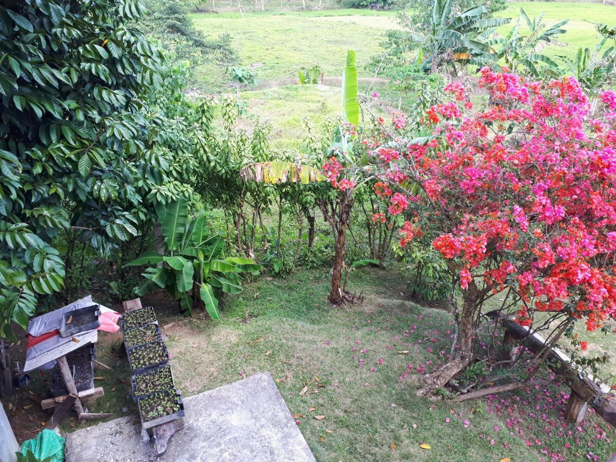 Villa Del Carmen Haven Bohol Bagian luar foto